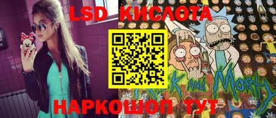 прущие грибы Краснокаменск