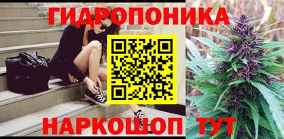 прущие грибы Краснокаменск