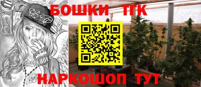 прущие грибы Краснокаменск