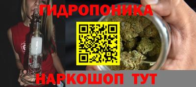 прущие грибы Краснокаменск
