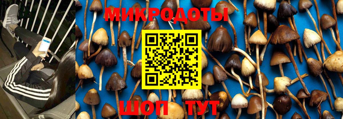 Псилоцибиновые грибы GOLDEN TEACHER Каменск-Шахтинский